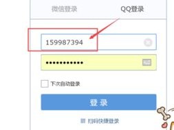 Instagram 账号管理