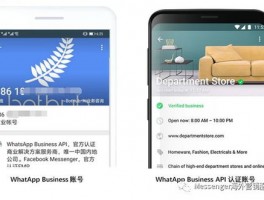WhatsAppbusiness最新版下载