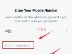 Google Voice 多开应用技巧