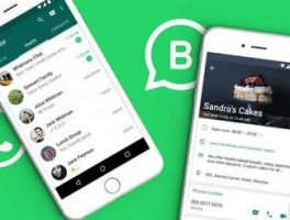 whatsapp国内叫什么名字