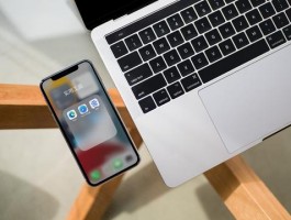 指纹浏览器是否会完全取代VPS？