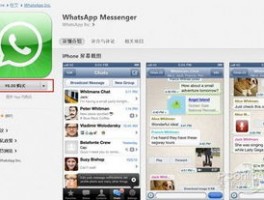 Instagram 粉丝管理