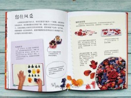 易翻译聊天官网下载地址