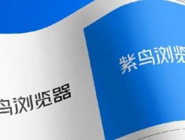 紫鸟浏览器代理浏览器优缺点分析