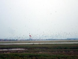 海王邀请码Telegram翻译官方入口