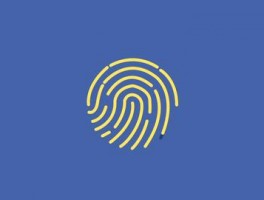 指纹浏览器如何帮助外贸 B2B 企业管理账号？