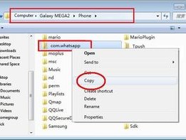 whatsapp已读怎么看
