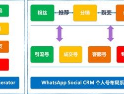 海王SCRMwhatsapp翻译软件哪个好用？