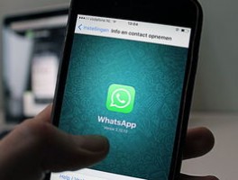 WhatsApp国内下载正版