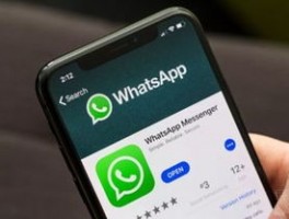 支持多账号管理的WhatsApp营销工具