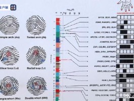 IP被封了还能用吗？指纹浏览器 代理IP完美解决