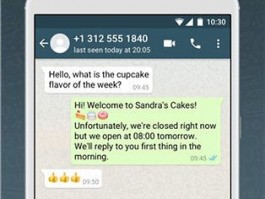 跨境王WhatsApp群发助手：高效管理与批量群发