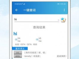 Google Voice 多开工具下载