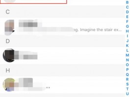多功能WhatsApp客户管理与翻译工具