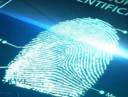 Google Ads多账号：多账号浏览器防关联实战技巧