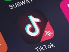 Twitter 粉丝获取