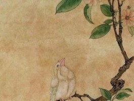 紫鸟浏览器防封号工具评测