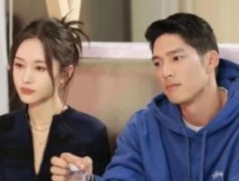海王Apptinder翻译软件价格方案多少钱