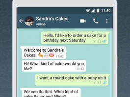 WhatsAppBusiness下载