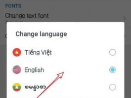 Google Voice 翻译支持语言