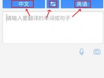 SCRM Champion系统的智能翻译功能解析