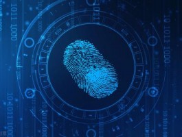 2025年指纹浏览器完整功能清单，一篇全搞定