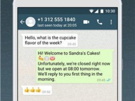 最新whatsapp下载安卓