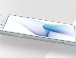 P1指纹浏览器如何设置代理IP？图文教程