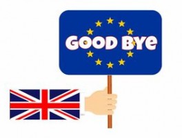 whatsapp语言设置在哪里