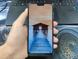 P1指纹浏览器 代理IP配置教程，广告投放专用