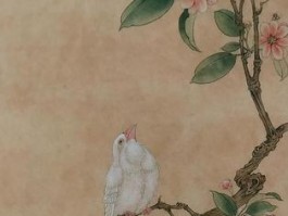 紫鸟浏览器防封号工具价格多少