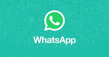 一站式WhatsApp营销与客户管理工具 一站式WhatsApp营销与客户管理工具
