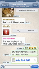 Whatsapp中文叫什么 Whatsapp中文叫什么