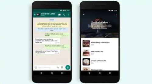 WhatsApp Business下载 WhatsApp Business下载