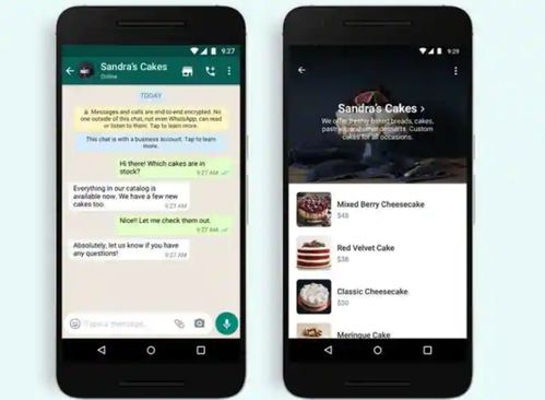 Instagram社交媒体广告费用预算与管理 Instagram社交媒体广告费用预算与管理