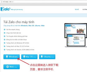 特定软件系统关键词 特定软件系统关键词