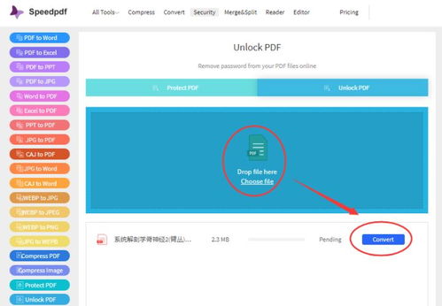 优化跨境电商营销的智能工具 优化跨境电商营销的智能工具